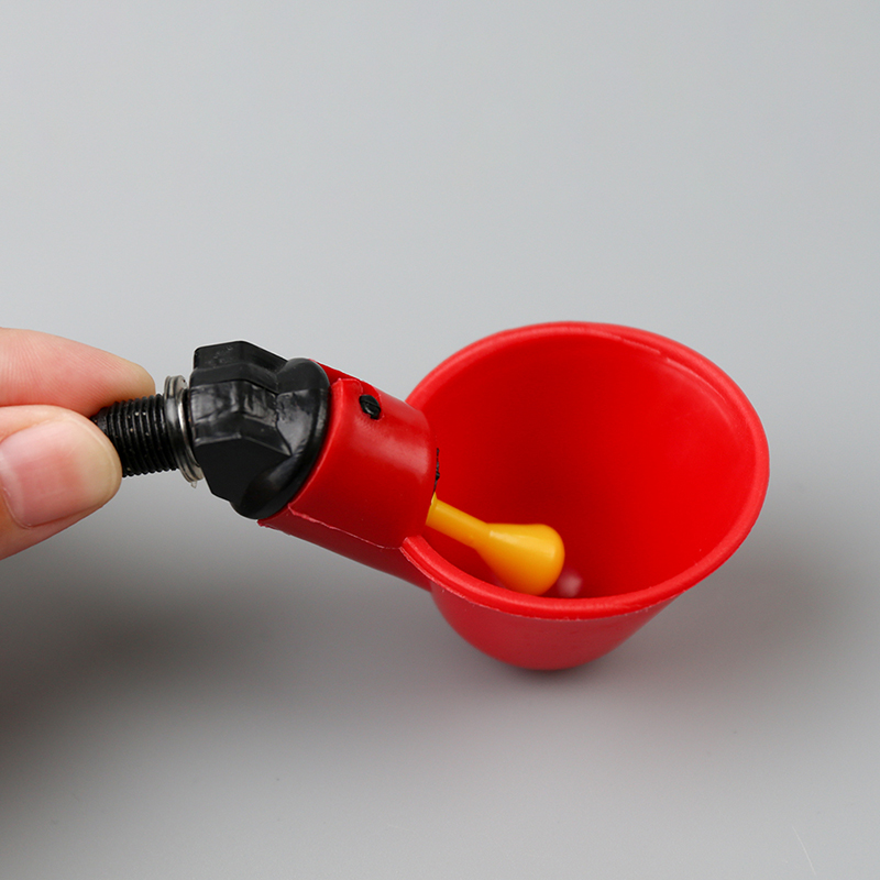 Automatic water dispenser for pigeons and chickens